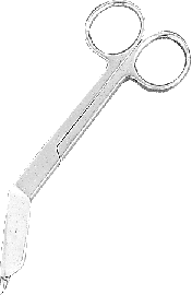 Lister Bandage Scissors, 5.5"