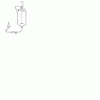 Adjust-A-Flo Irrigating Bag & Tubing