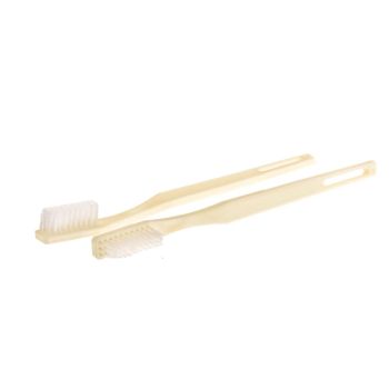 Adult Toothbrush,White,Adult
